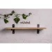  '           EcoWalnut     S () (0317)
