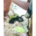      Edelrid Pinch (738380008150)