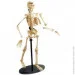  Edu-Toys , 24  (SK057)