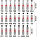 Einhell    , 1/4" 4-13, 37,  (109022)
