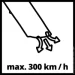   Einhell GC-EL 3000 E