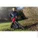   Einhell GC-EL 3000 E