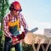  Einhell GH-EC 1835 (4501710)