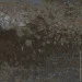 El Molino  Bengala gris 58x58 
