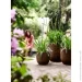 Elho   Fuente Lily (359256)  12  