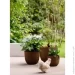Elho   Fuente Lily (359256)  12  