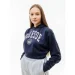 Ellesse Rosarian Cropped Hoody (SGV20270-429-L)