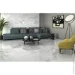 Emigres  Artico XL 60x120 .