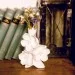  Enesco   (72BB577)
