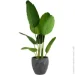 Engard  "" 30x30x28,5 (GA85-1)