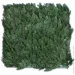 Engard  50x50 (GCK-02)