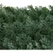 Engard  50x50 (GCK-02)