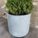 Engard  "" 53,5x53,5x50  (GA89-3)