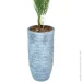 Engard   Areca Palm 150    (DW-3078-1)