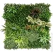 Engard Декоративное зеленое покрытие-фитостена "Astreya",Engard 100х100 см (GCK-20) Engard Декоративное зеленое покрытие-фитостена "Astreya",Engard 100х100 см (GCK-20)