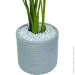 Engard   Banana Tree 155    (TW-0989-1)