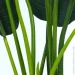 Engard   Banana Tree 155    (TW-0989-1)