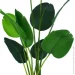Engard   Banana Tree 155    (TW-0989-1)
