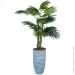 Engard   Cycas Palm 150    (DW-2378-2)