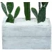      Engard Cactus   (TW-40414268-1)
