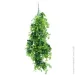     Engard "Eucalyptus", 65  (AV-03)
