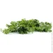     Engard "Eucalyptus", 65  (AV-03)