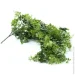     Engard "Eucalyptus", 65  (AV-03)