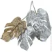     Engard Monstera, , 65  (TW-21)