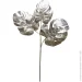     Engard Monstera, , 65  (TW-21)