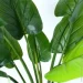   Engard Philodendron, 120    (TW-3983-1)