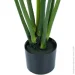   Engard Philodendron, 90  (TW-38)