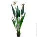   Engard Strelitzia, 120  (TW-25)