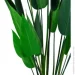   Engard Strelitzia, 120  (TW-25)