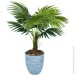 Engard   Fan Palm 120    (DW-2779-1)