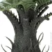 Engard   Fan Palm 60    (DW-2567-1)