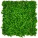 Engard    "" GCK-14 50x50,  (GCK-14)