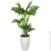   Engard   Lacy Tree 150    (DW-2932-3)