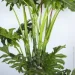   Engard   Lacy Tree 150    (DW-2932-3)