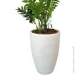   Engard   Lacy Tree 150    (DW-2932-3)