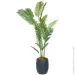 Engard   Palm Tree, 182    (TW-2909-1)
