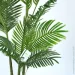 Engard   Palm Tree, 182    (TW-2909-1)