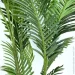 Engard   Palm Tree, 182    (TW-2909-1)
