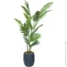 Engard   Palm Tree, 182    (TW-2909-1)