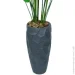 Engard   Strelitzia, 120    (TW-2584-1)