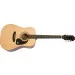   Epiphone DR-100 NT