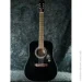   EPIPHONE DR-100 EB