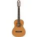   Epiphone Pro-1 Classic 3/4
