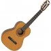   Epiphone Pro-1 Classic 3/4