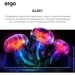  Ergo Mini LED 65MQ90PRO