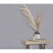 Erismann      Gentle 12211-10 1,06x10,05 